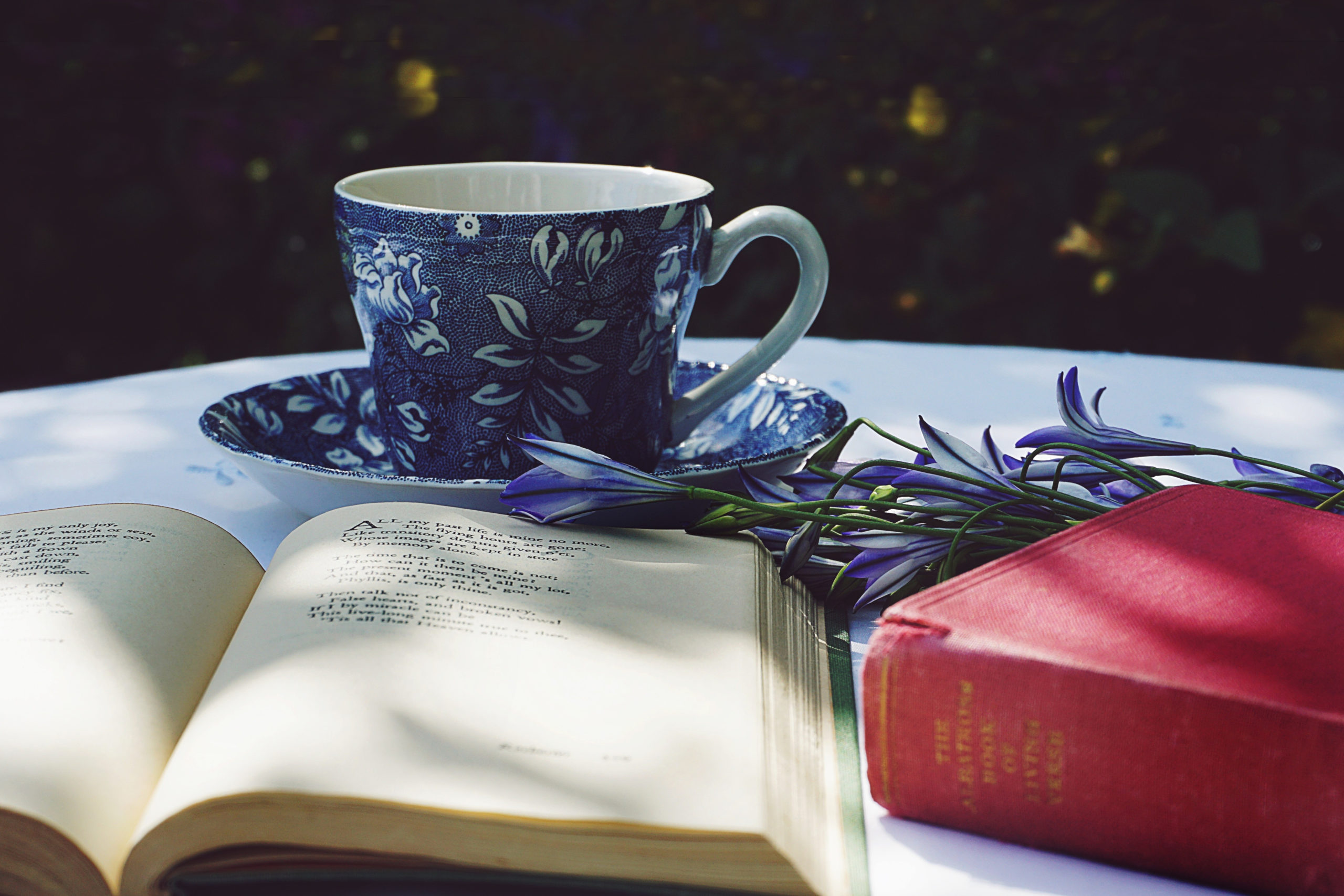 livre et tasse sur une table